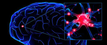 SayayRuth18's tweet photo. 26 DE MARZO: Día Mundial de la Epilepsia 
Es un trastorno del sistema nervioso central en el que la actividad cerebral se vuelve anormal, lo que provoca convulsiones
#Epilepsia
@Miss_Katushka https://t.co/0b4BuwmA4e