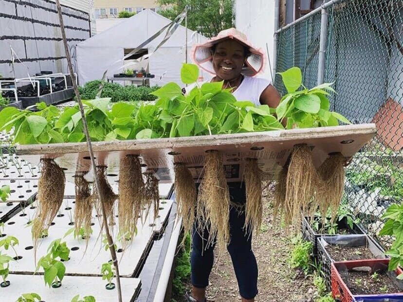 Brooklyn-based <a href="/OkoFarms/">Oko Farms</a> was recently awarded a grant from <a href="/SlowFoodUSA/">Slow Food USA</a>. We discuss aquaponics, food security, and sustainability with founder and director, Yemi Amu. bit.ly/3crX0Yj