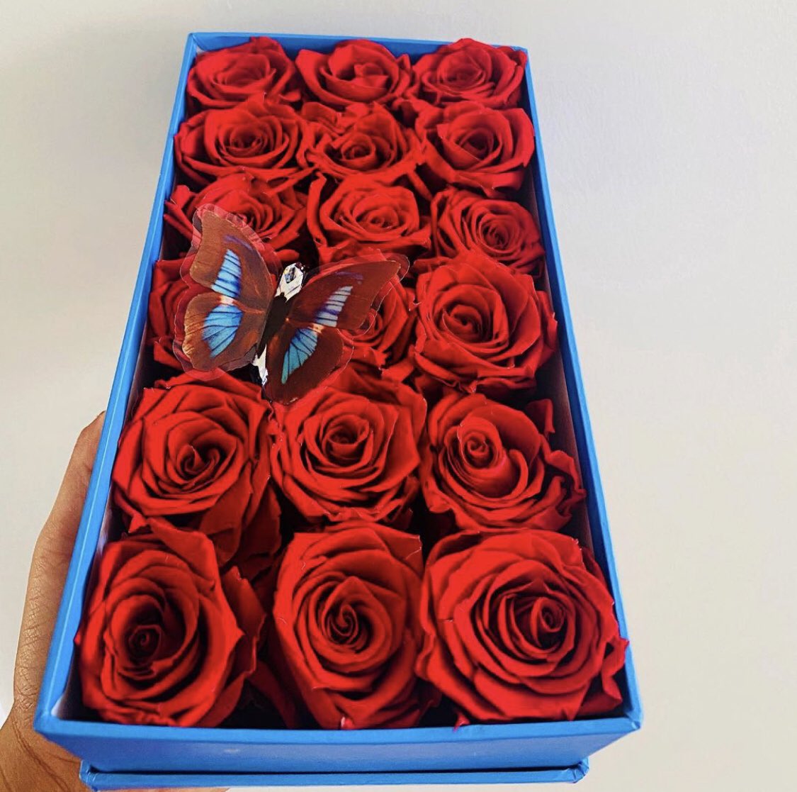 rossahutt's tweet photo. Rectangle Box of Roses
#customorder #limitededition #realroses #luxuryroses #redrose #diydecor #homedecor #giftsforher #giftsforhim #torontoroses #torontogifts #supportlocalbusiness https://t.co/MAMRgr73Iw
