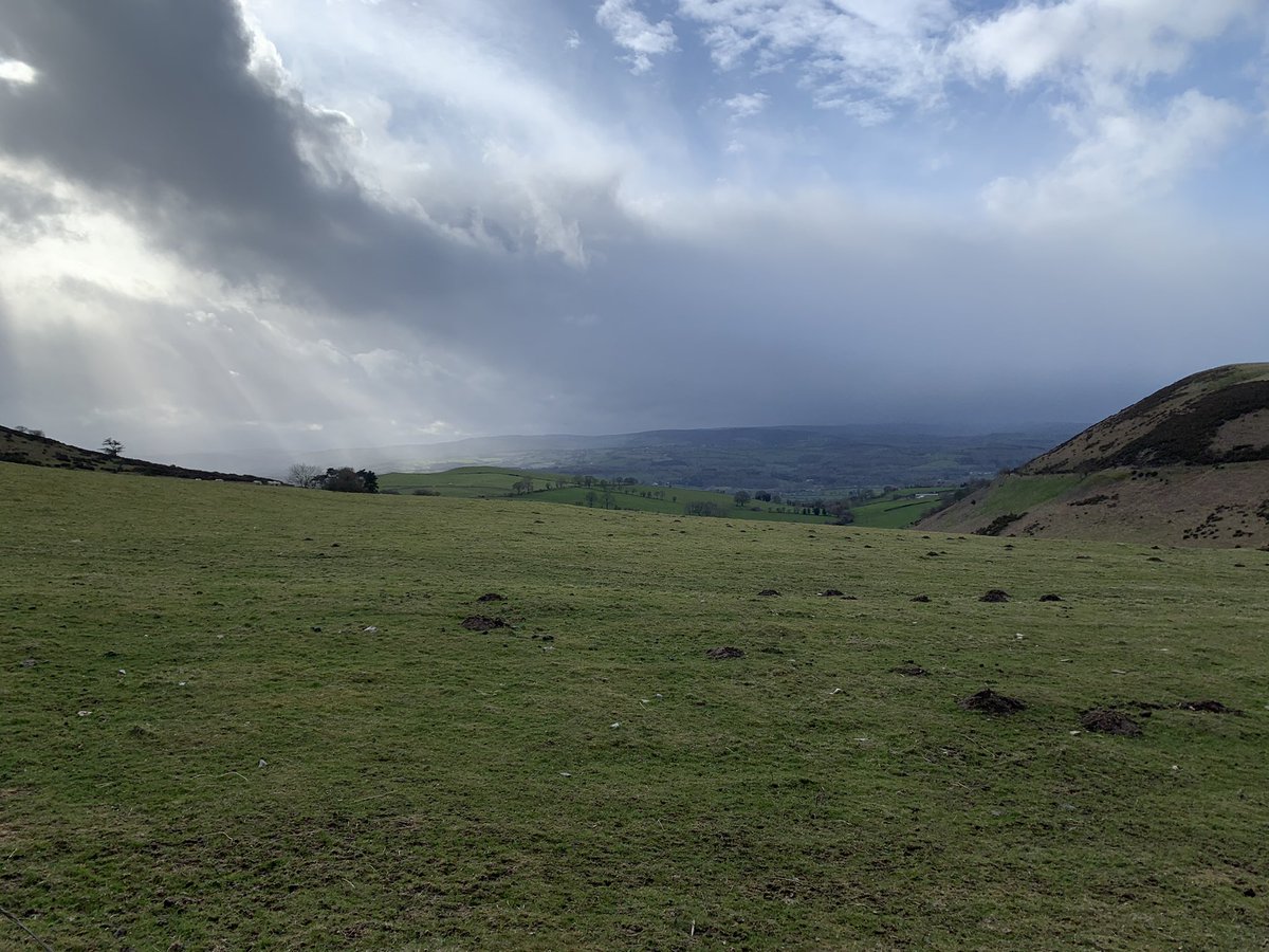 tgwyn's tweet photo. @BBCRadioCymru  cyfarchion o ben y silff, dyffryn clwyd. Beth am trac i ddathlu Penblwydd yr athrylyth Charlie Bird Parker? Diolch am y rhaglen, Tom https://t.co/yULdsV0ZfZ