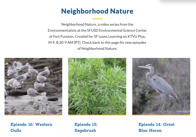 SFUSD_Science's tweet photo. Are your students ready for #NeighborhoodNature with our local #Naturalists on #SFLovesLearning? Teachers, check out 16 episodes with @Seesaw lessons. Visit local parks & meet local species! #EnviroLiteracy #OutdoorLearning
https://t.co/Glo6RKWB82 https://t.co/dmjFmS8R4l