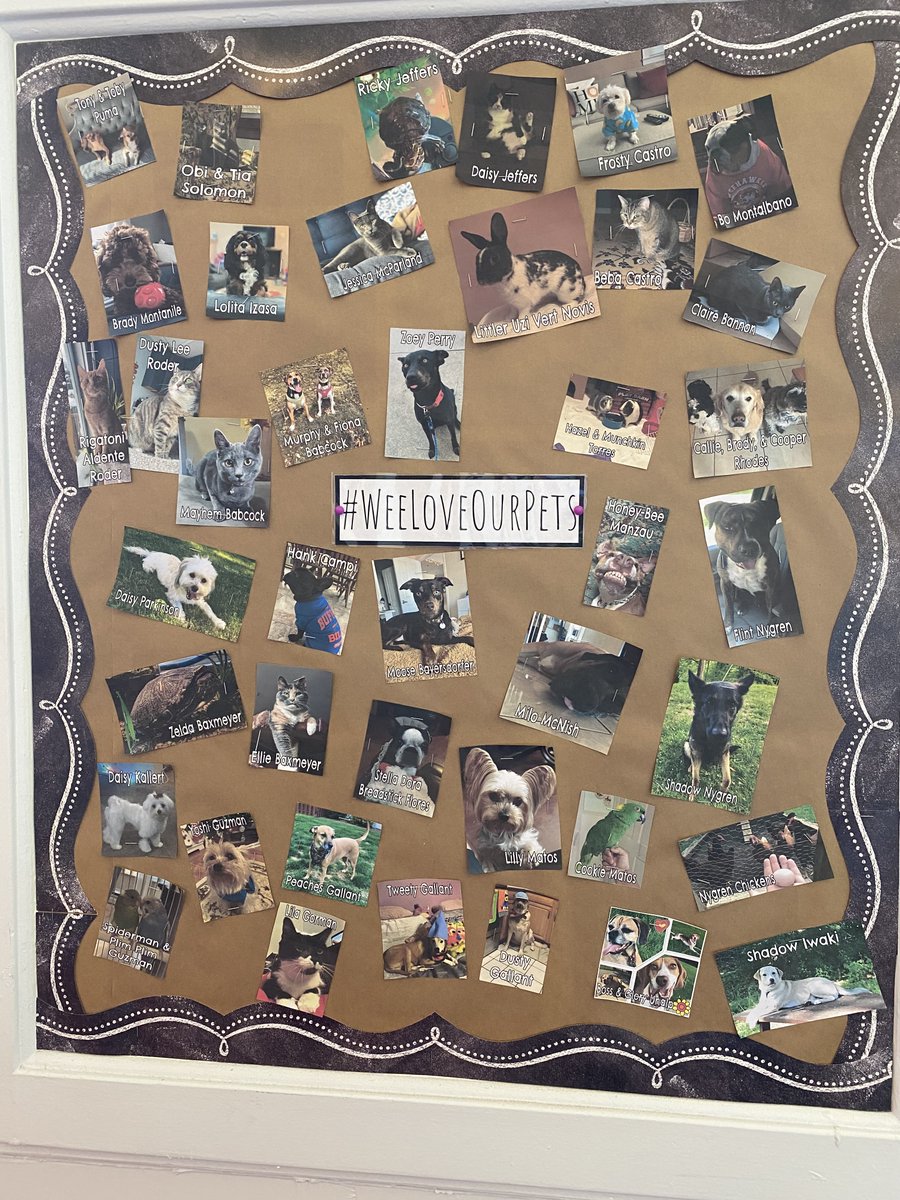 PerryWhs's tweet image. Look at what my stunningly creative colleague @BabTeacher put together upgrade on the welcoming decor of our wonderful media center @WeehawkenTSD ..a staff pet board!!!! #MoraleRaiser #WeeLoveOurPets #WeeFun @bcalligy @RobFerullo4 @Math_With_MissB  @WeehawkenVP @FAmato53