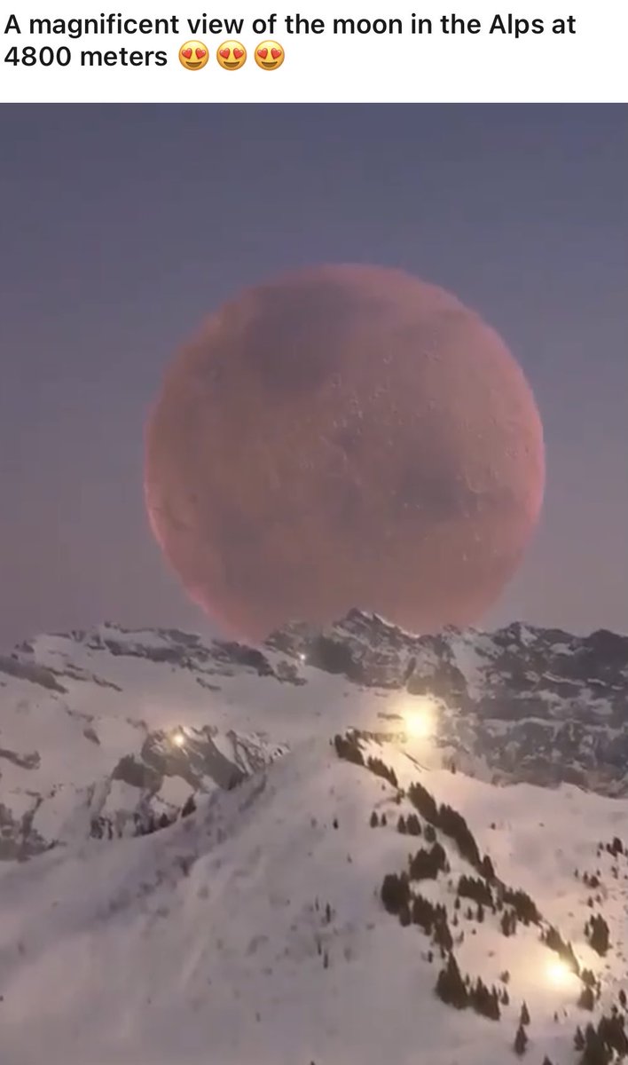 Msjethics's tweet image. How incredible is this?