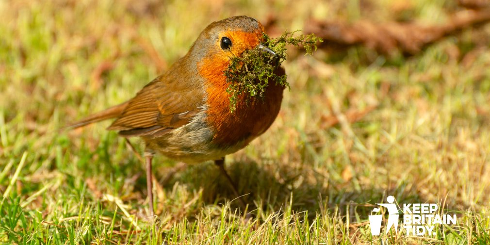 Keep Britain Tidy tweet media