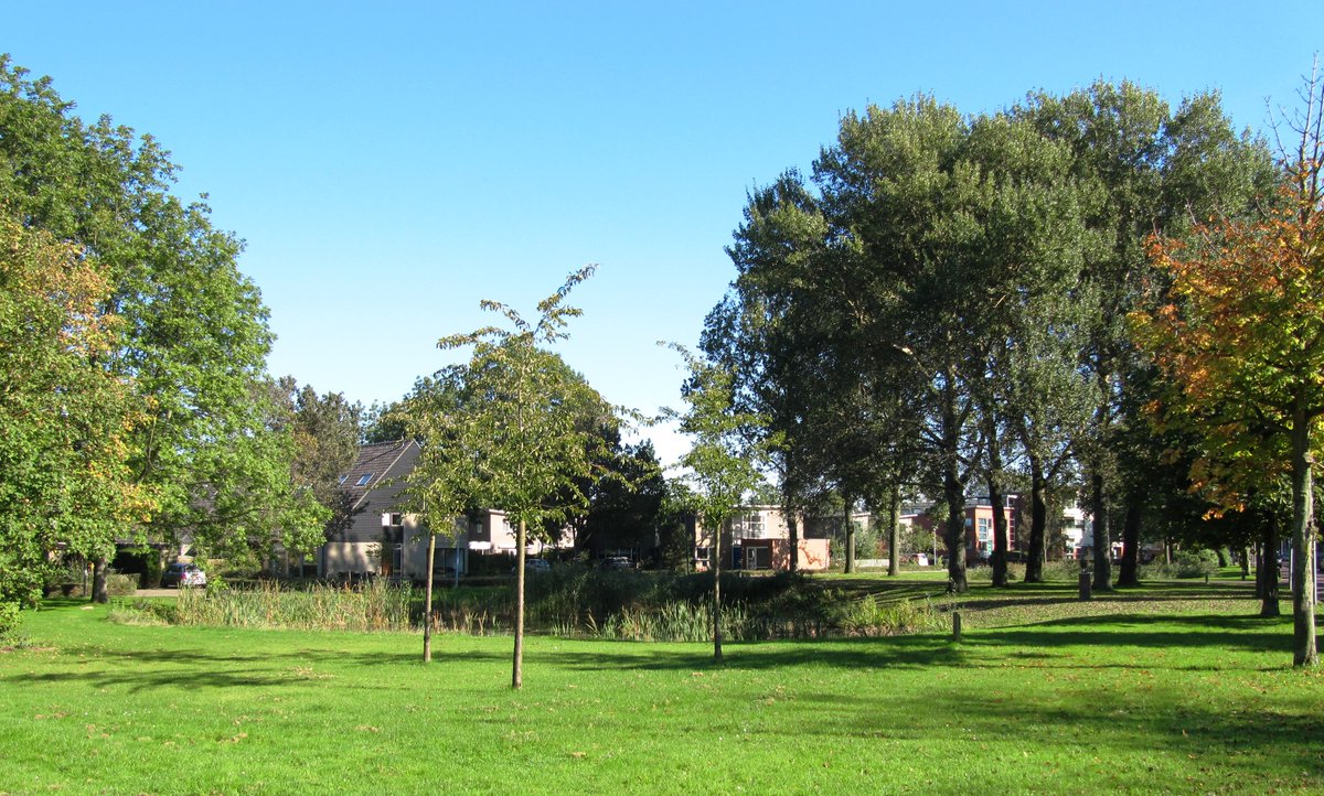 Alle ondernemers en inwoners van Heiloo zijn van harte welkom om mee te praten over het groenbeheerplan. Deze digitale bijeenkomst is online op maandag 15 maart. 
ondernemendheiloo.nl/2021/03/ga-in-… #heiloo #groenbeheer