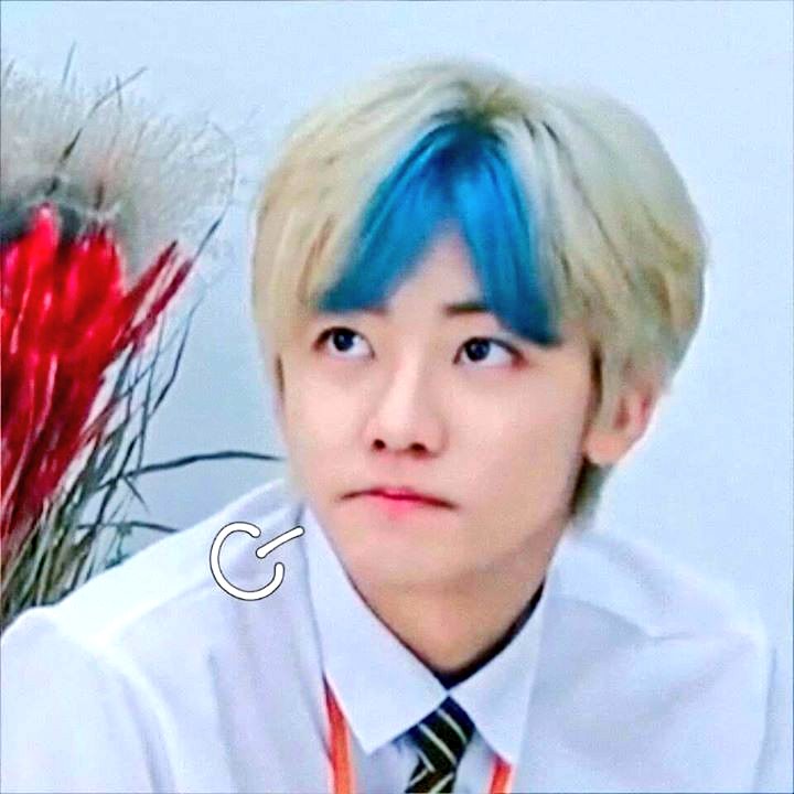 Aksa Alexander tweet media