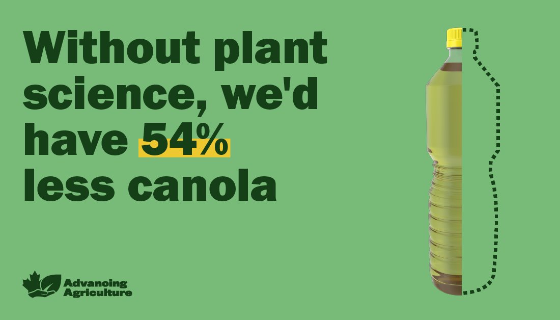 There are more than 43,000 Canadian farmers working hard to grow canola.

Innovations in plant science are an important part of ensuring they have a more bountiful harvest.

Learn more: advancingagriculture.ca

#AdvancingAgriculture #cdnag