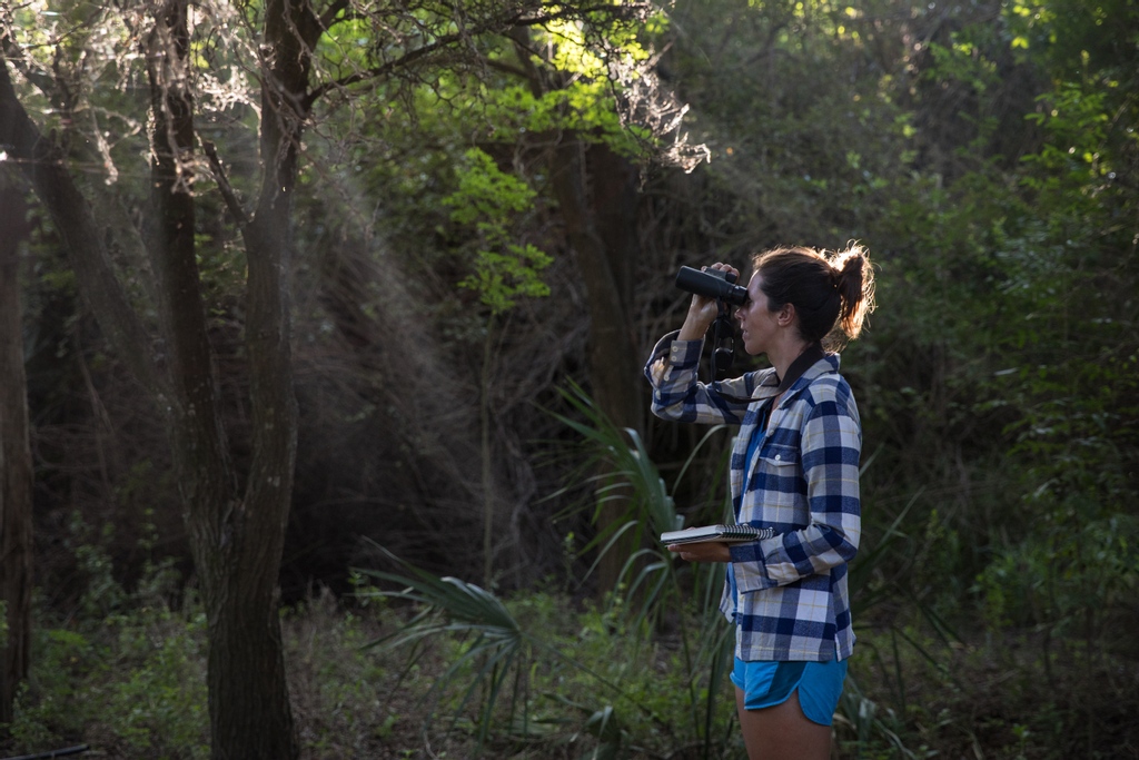 A wild Heather Mackey, spotted in her natural habitat.
The Rio Grande Valley is a stellar place for birdwatching, particularly in the spring and fall. Situated at the convergence of two major migratory flyways, this area is a hotspot for witnessing unique bird activity.