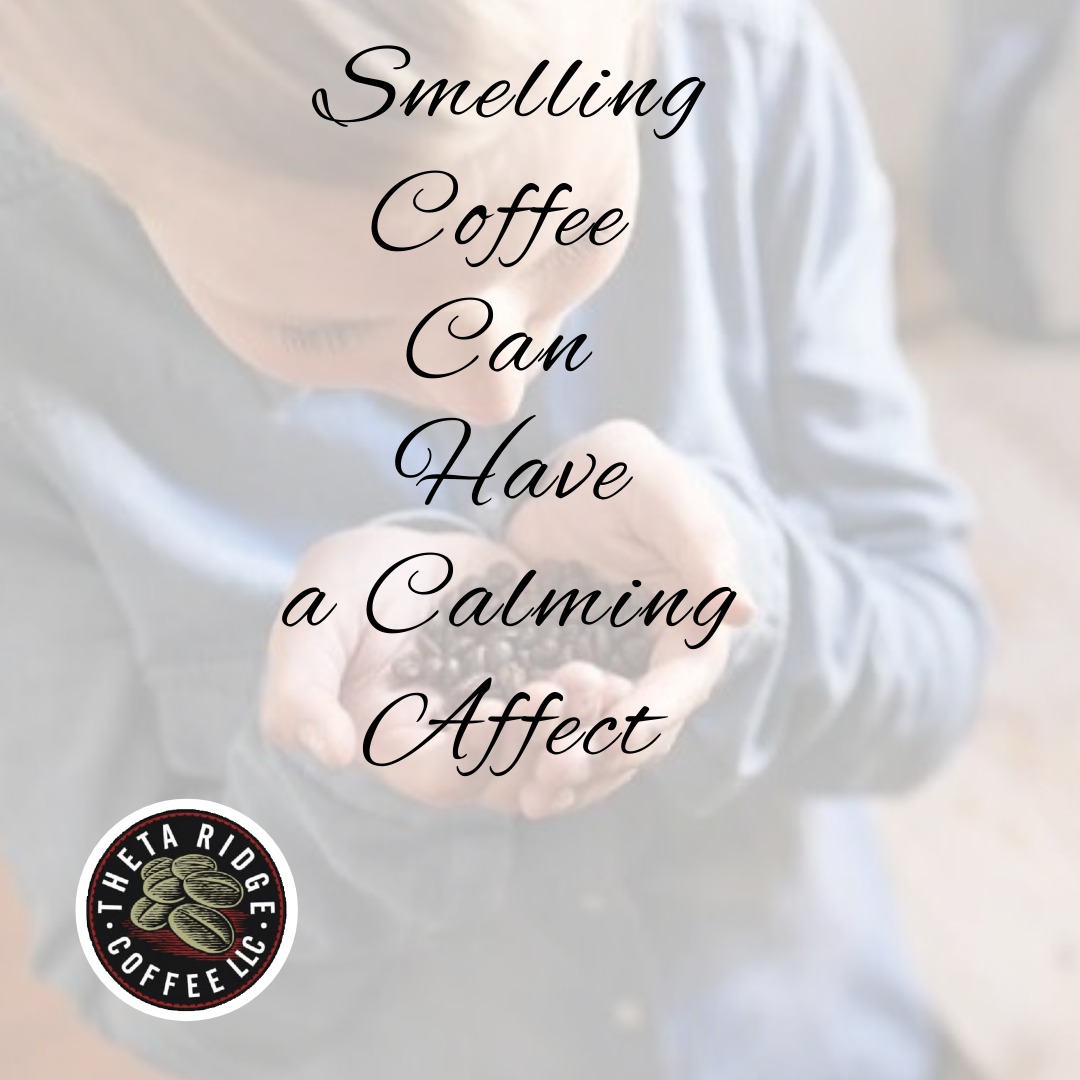 Study shows that smelling ground coffee can have a calming affect 🙂
#thetaridgecoffee #coffee #coffeeroasters #roasting #coffeeroaster #coffeeroast #coffeelovers #specialtycoffee #coffeeroastery #coffeehouse #coffeecoffeecoffee #coffeecon