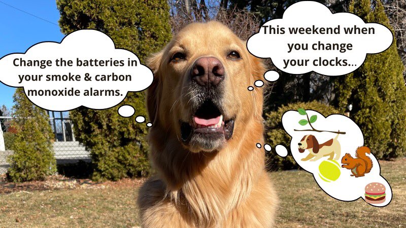 Please remember when you change your clocks this weekend, you change your batteries in your smoke &amp; carbon monoxide (CO) alarms! #StaySafe ❤️🐾