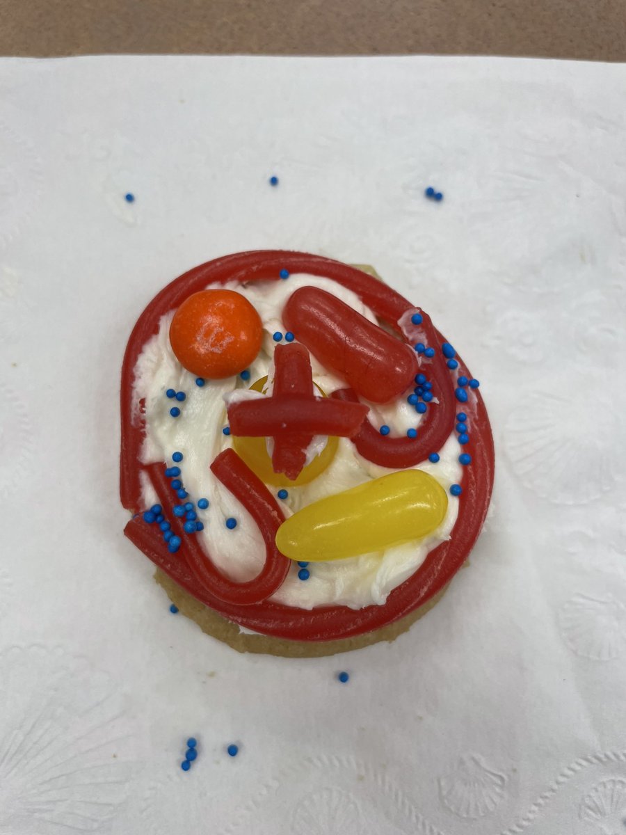 robinfritz13's tweet photo. Wrapping up our “Cell Organelles” unit with Edible Cookie Cells! #yummy #parentdonations @awlsft https://t.co/2tTQSxIyWl