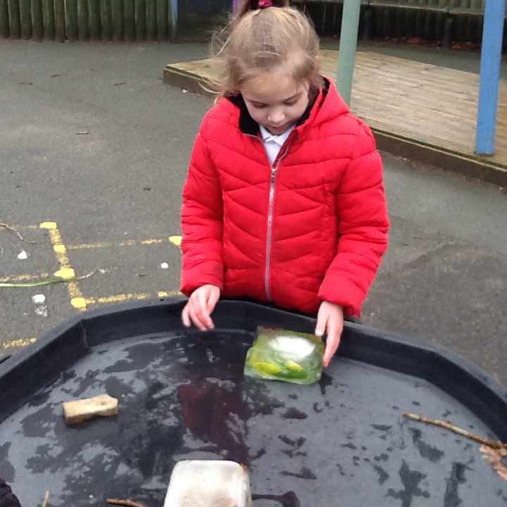 ABCPschool's tweet photo. Reception enjoyed exploring with the ice garden. #ABScience #BritishScienceWeek #ClassRR #ClassRF https://t.co/JZdt2Am5k5