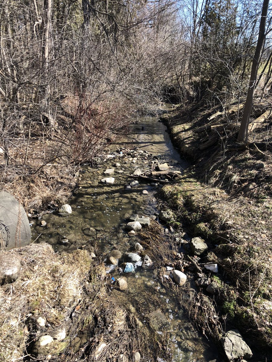 First we spotted the ducks, then we spotted the garbage 😞 A student suggested next time we wear gloves and pick up garbage to care for the Earth because “every day can be an eco day”. So next week, that is exactly what we will do. #StewardsOfTheEarth 🌍