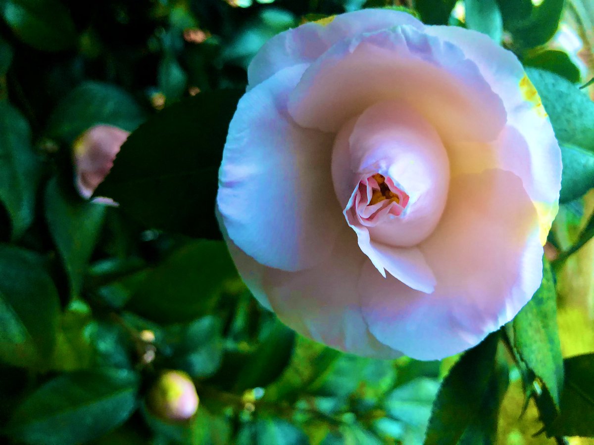 Signs of spring around our house.