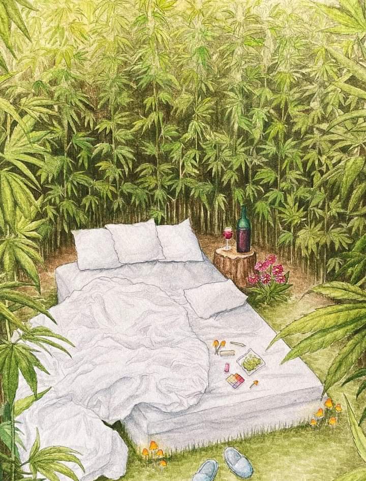 preto diamba (@planttrip) on Twitter photo 