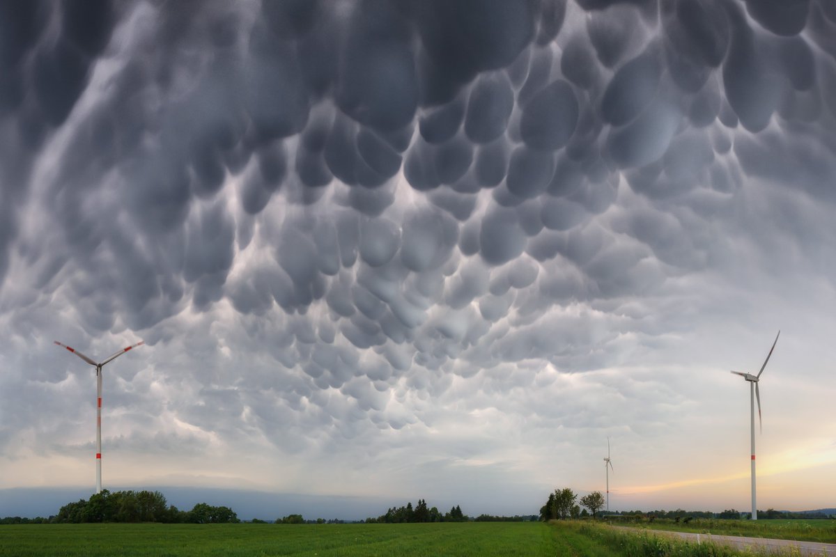 World Meteorological Organization tweet media
