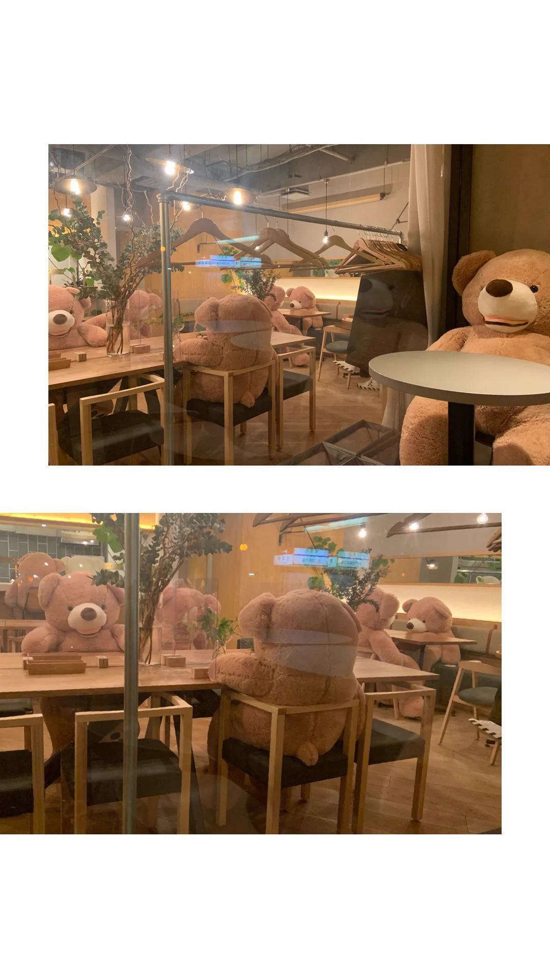 @tyomateee 福岡にもクマちゃんが沢山いるカフェありますよ〜🧸
そういう目的だったとは！ 