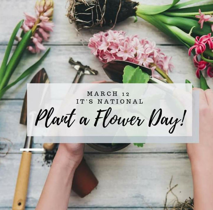 ahouseofflower1's tweet photo. https://t.co/9b3ne5hJV3