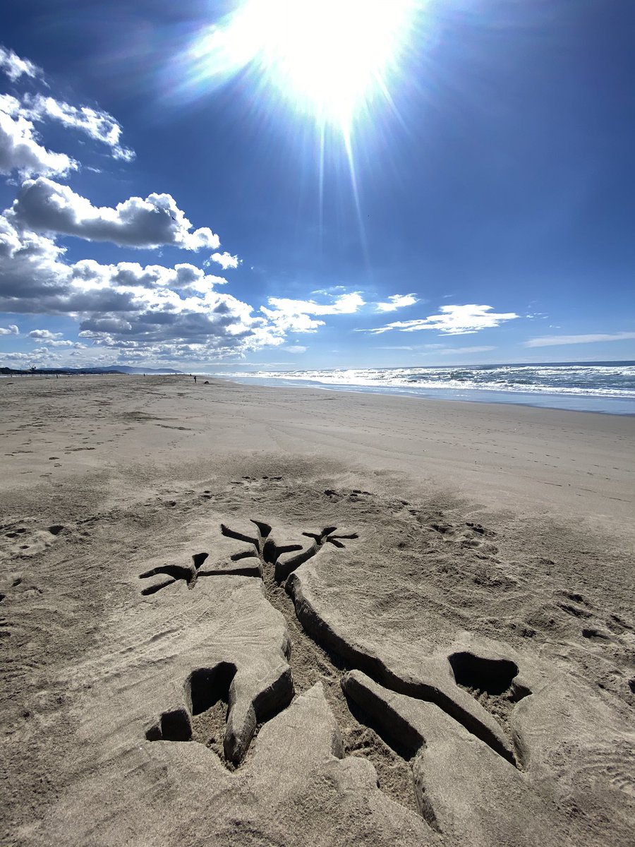 pufferfishfun's tweet photo. Wile E. Coyote... Super Genius!
Hey @looneytunes, we found something of yours on the beach!
Who says you have to build UP, when you can also build DOWN!
Sometimes you have to think outside the... castle🐡🚜
#looneytunes #wileecoyote #warnerbros #pufferfishfun #familyfun https://t.co/IqUOeY3atz
