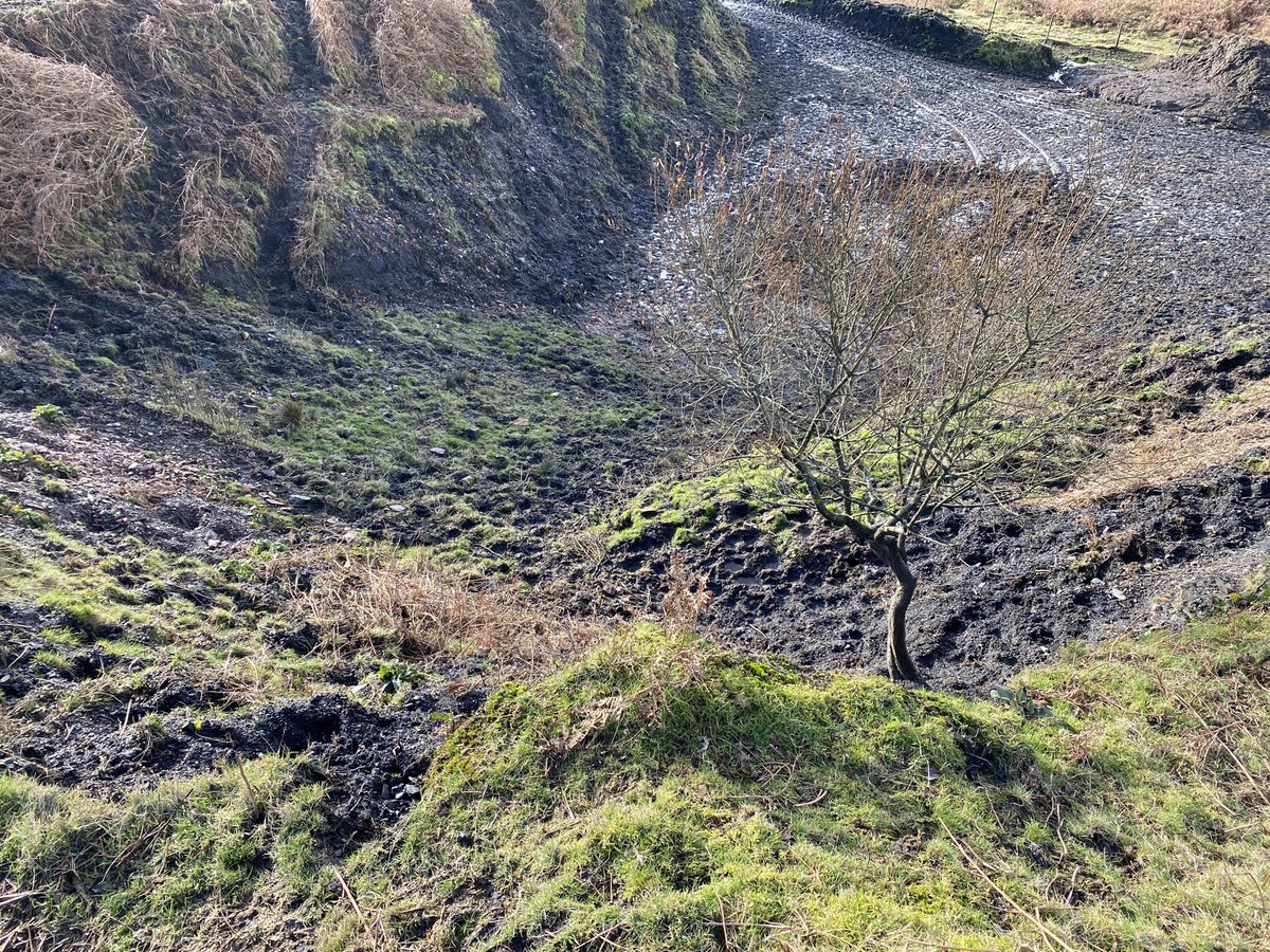WelshCoalTips's tweet photo. In 2020: 60,000 tonnes of coal waste slid to the valley floor in Tylorstown (Rhondda).  After a whole year, various government agencies tell us there are still 294 coal tips in South Wales deemed as 'high-risk'.  They still won't publish the location of these tips and reports. https://t.co/V83aip6XWo