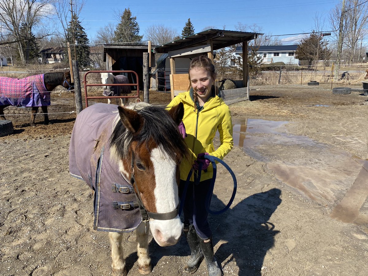 CoopEastsideSS's tweet photo. A great visit at Miron Valley Stables -where Abby introduced me to Teddy! #communitypartners #experientiallearning https://t.co/FPLry3cb8d