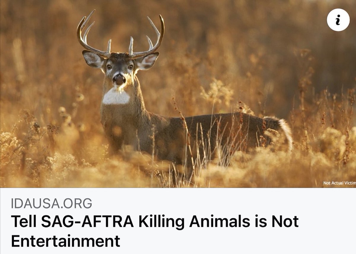Hey Kyle Rankin:
Who the hell do you think you are murdering an innocent animal for a stupid movie? Shame on you. 😡 

Everyone feel free to Twitter this loser to tell him how you feel : 
x.com/kbrankin

#boycottrideHideFight #animalcruelty @screenactorsguild <a href="/kbrankin/">Kyle Rankin</a>