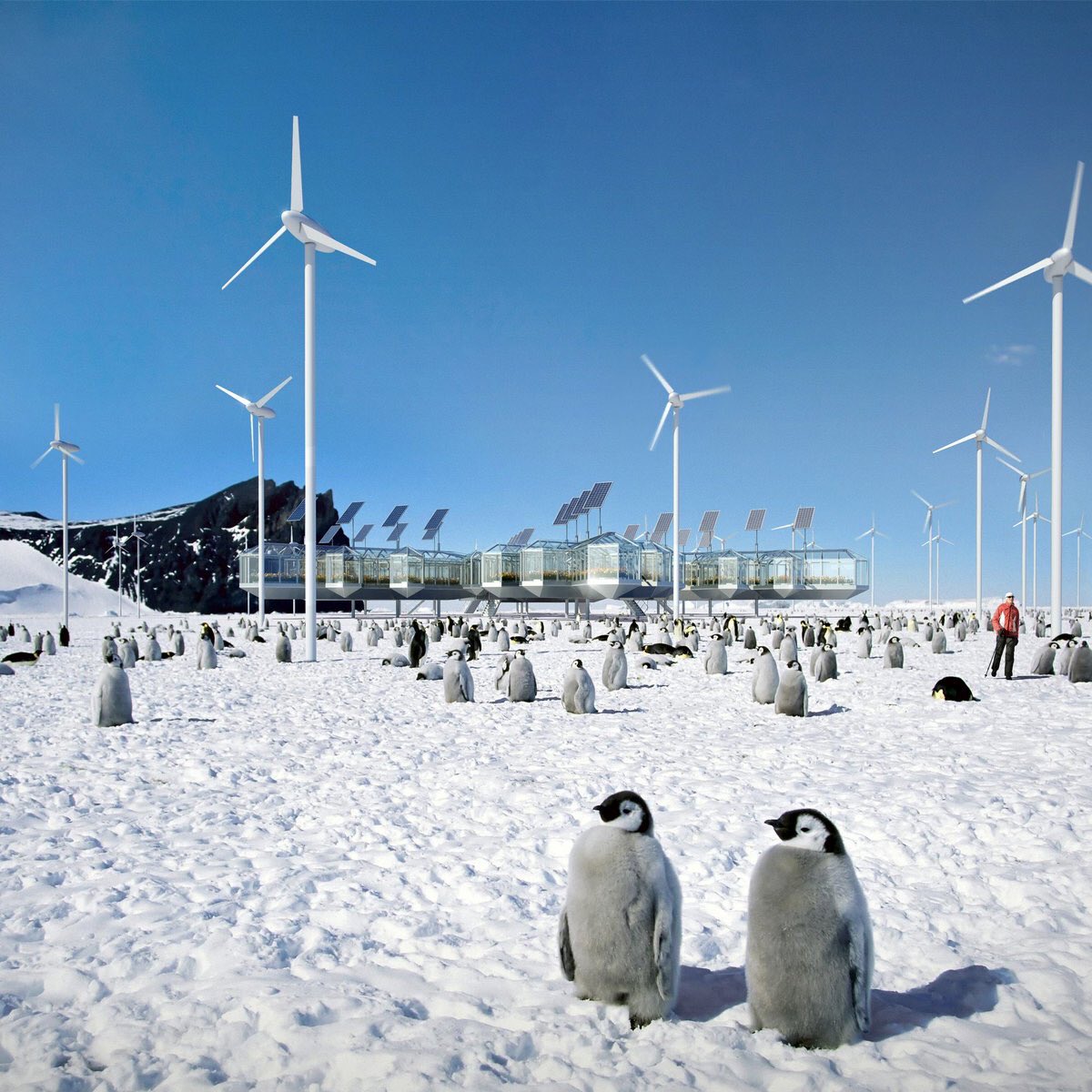 Wind Turbines don’t freeze (absent reckless politicians), but we might if we don’t fight off #ClimateChange and pass the #GreenNewDeal. #NoHoneymoon
Join us: bit.ly/3ryJXdY