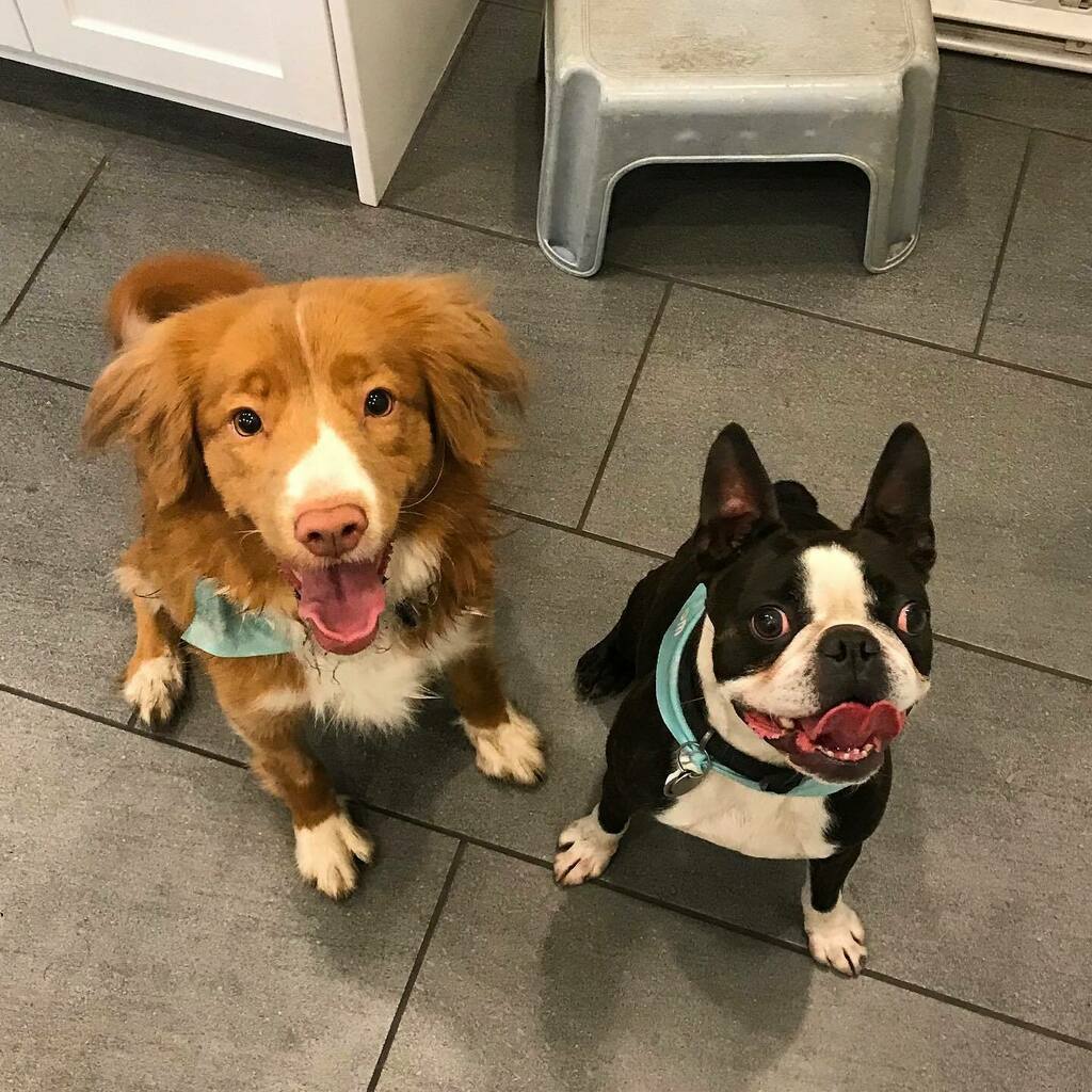 FriYAY happy faces in full force 😛😛 instagr.am/p/CMVXOAsBWho/