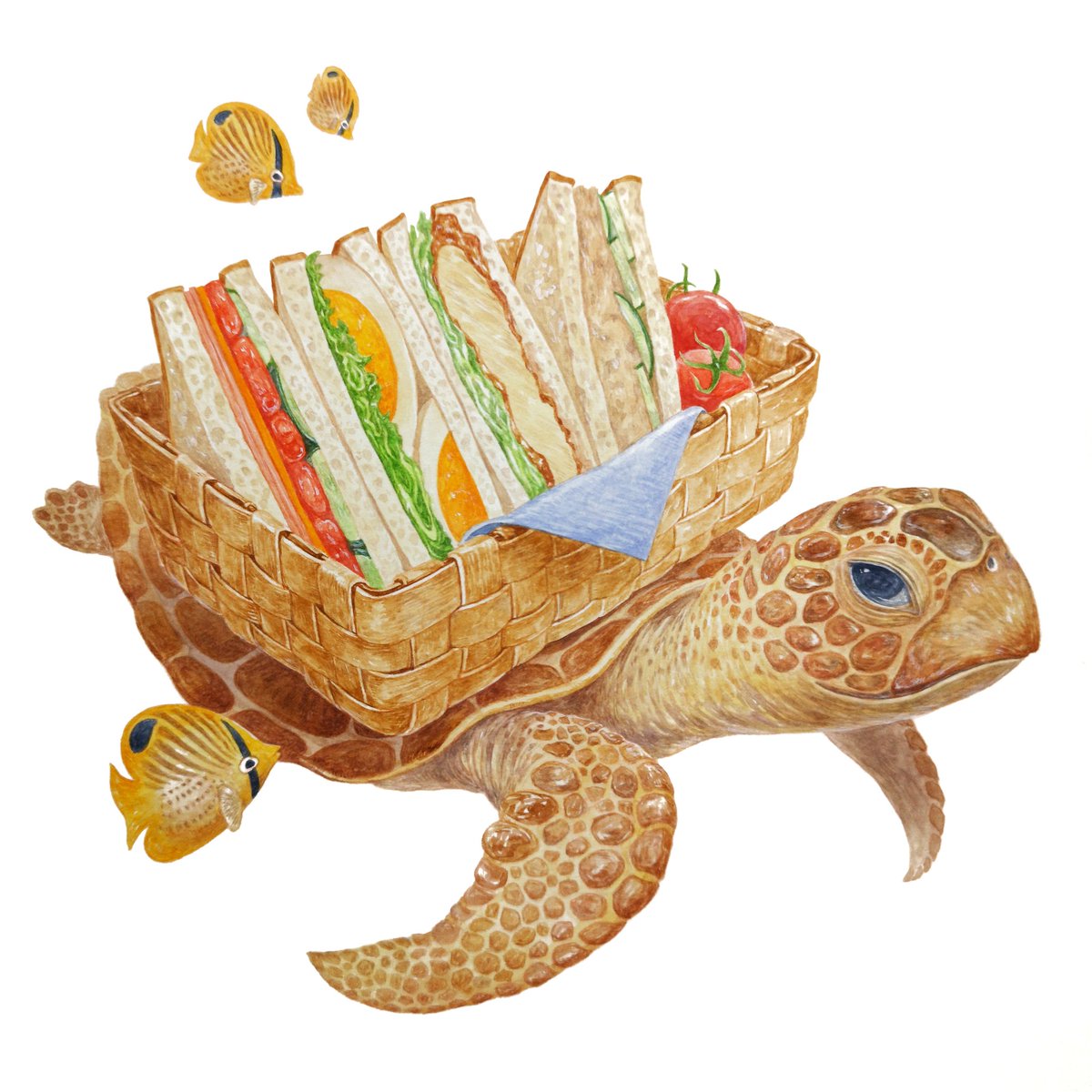 Hirotoshi Kanou Na Twitteru 海の中のピクニック サンドイッチのお弁当を背負って みんなでピクニックへ まだ目的地へ到着してないけど みんなサンドイッチが早く食べたくて 気になるみたい サンドイッチ ピクニック 海ガメ 遠足弁当 動物イラスト Hirotoshi Kanou Na Twitteru 海の中のピクニック サンドイッチのお弁当を背負って みんなでピクニックへ まだ目的地へ到着してないけど みんなサンドイッチが早く食べたくて 気になるみたい サンドイッチ ピクニック 海ガメ 遠足弁当 動物イラスト