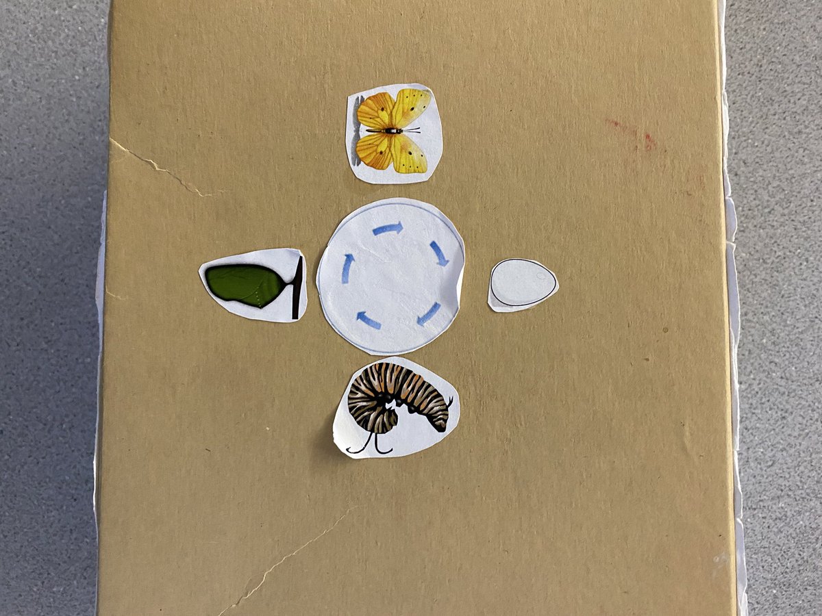 Katie Cribbs tweet media