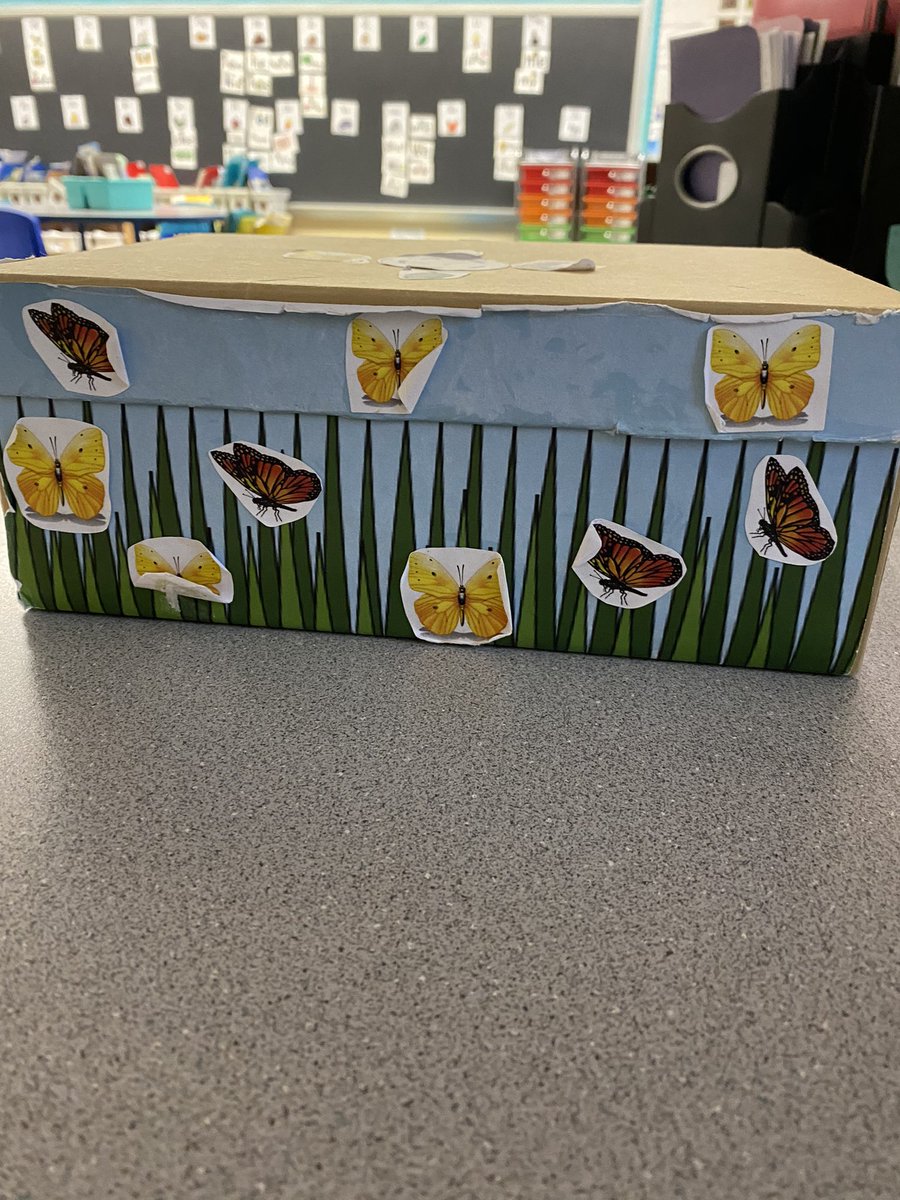 Katie Cribbs tweet media