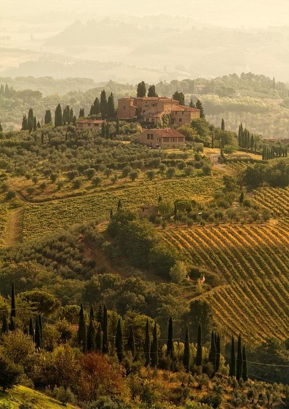 TexSun48's tweet photo. #LuxuryIn5WordsOrLess
Tuscany, Italy https://t.co/KQHbY1tAhp