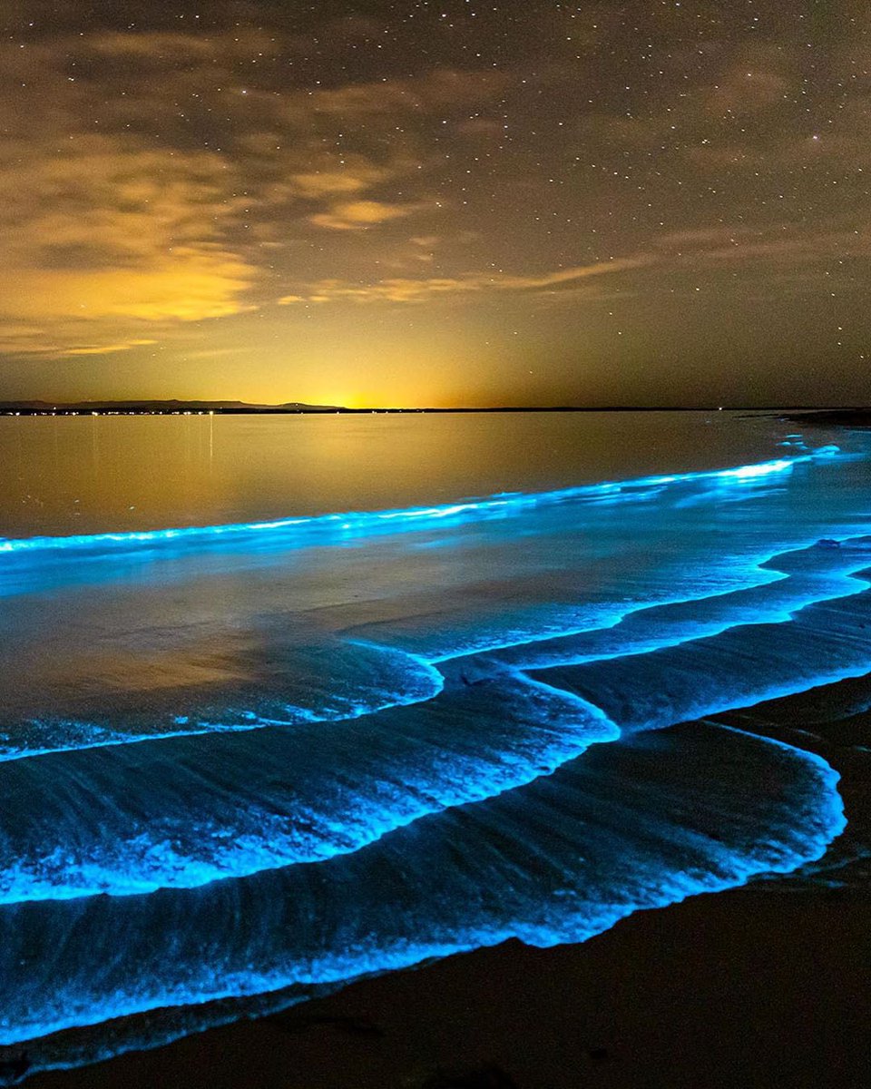 freywl's tweet photo. eaux bioluminescentes en Australie https://t.co/E5Ws2vn8Gu