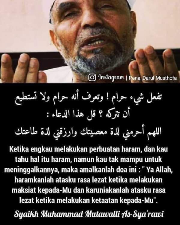 Mushuk suratga tushishga tayyor