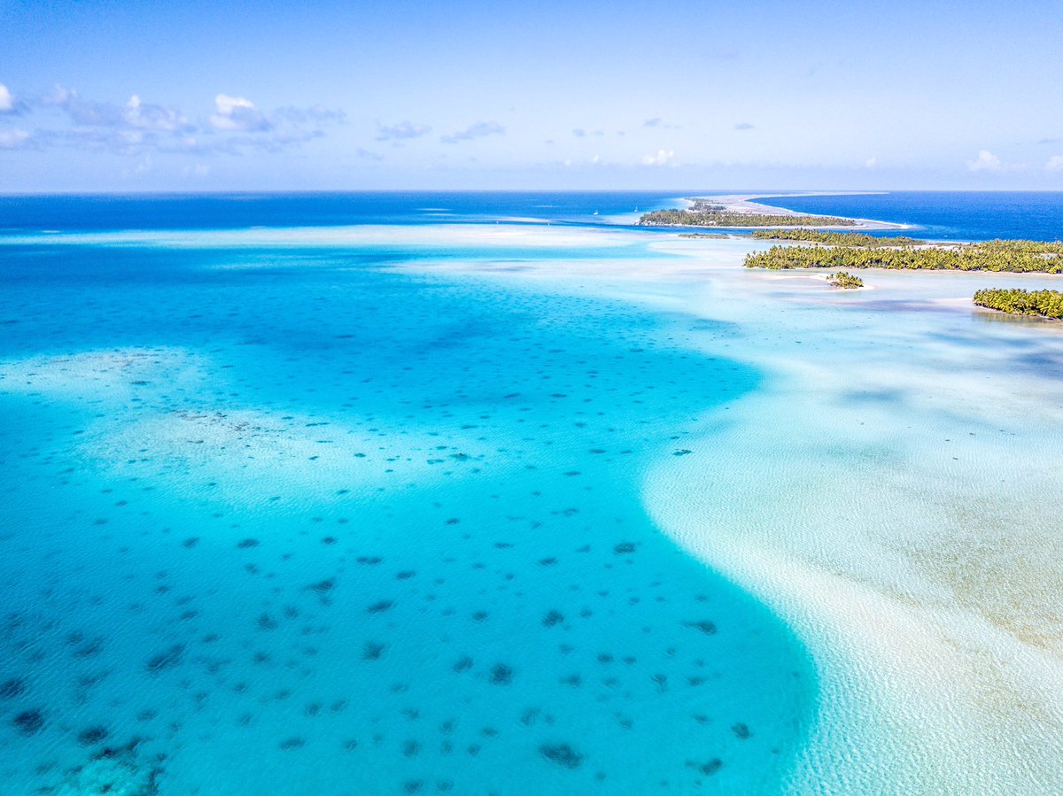 Buenos Viajes tweet media