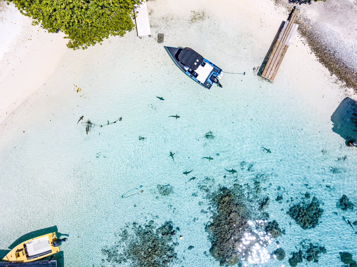 Buenos Viajes tweet media