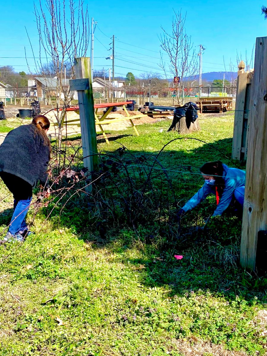 EnableMadisonCo's tweet photo. #FabulousFridayVolunteers Another great week of CASA volunteers helping deliver our mission across Madison County.  We have made great progress in our CASA Vegetable Garden. Planting is around the corner, we will need as much help as we can get!  #CaringInAction #SupportCASAMC https://t.co/UD3uaU3x06