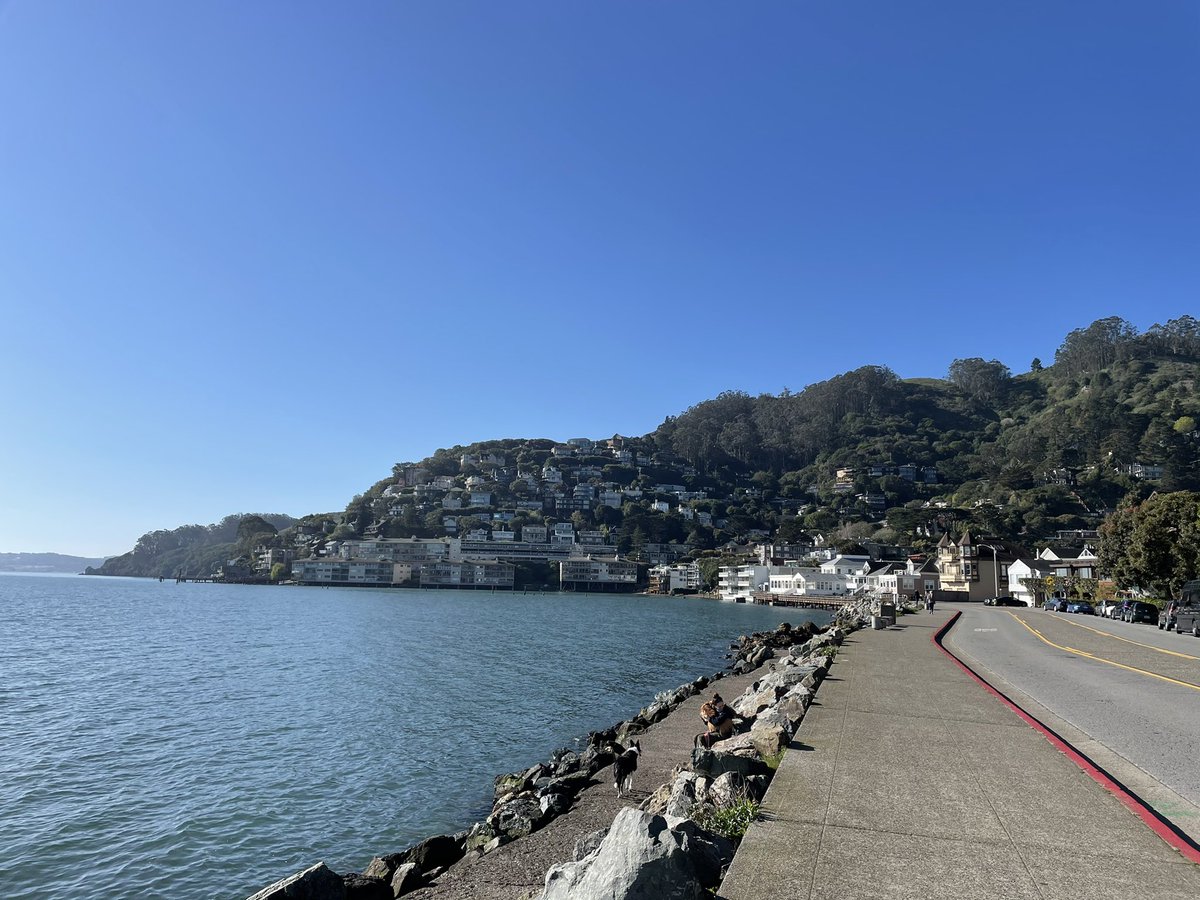 Andresdq21's tweet photo. Three day weekends should be mandatory. Friday ride into Sausalito. Gorgeous day. #mydayinSF #bikingsf https://t.co/FDfBnGC1zC