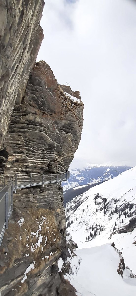 swissaussie1's tweet photo. #Grindelwald For a little #thrill  do the #FirstCliffWalk It’s a metal walkway and unique single-rope #hangingbridge, built along the #cliff of the #FirstMountain 
2168meters. The #terrace  rises 45 meters out into the void. #mybeautifulswtzerland                 @MySwitzerland_e https://t.co/aRsPCjWXvf