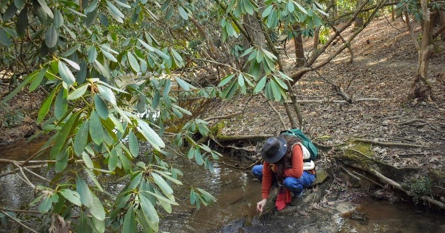 Join the <a href="/TheNCArboretum/">The NC Arboretum</a> in pursuing wellness in nature with their latest class offerings!

ncarboretum.org/education-prog…