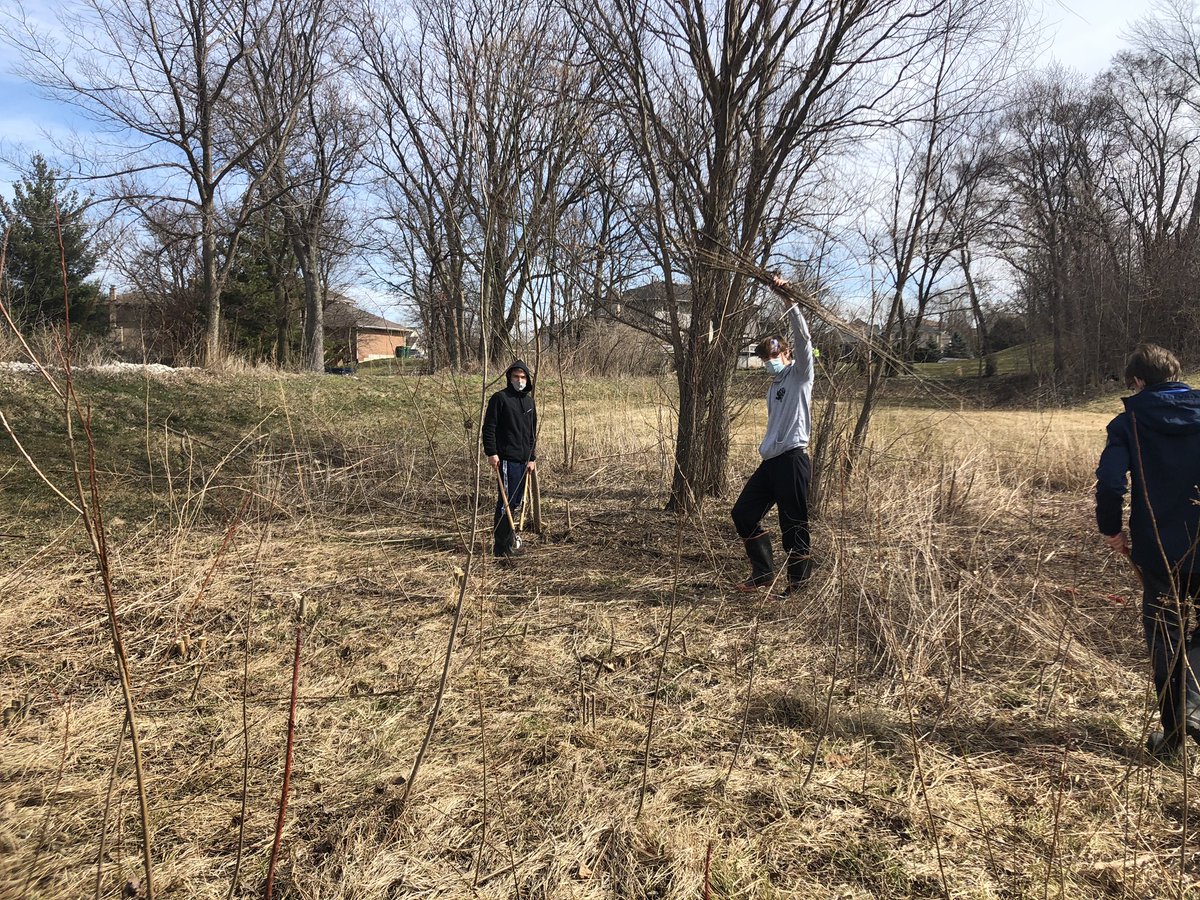 Field ecology working to improve our LHS prairie for the butterflies in the spring. #golemont