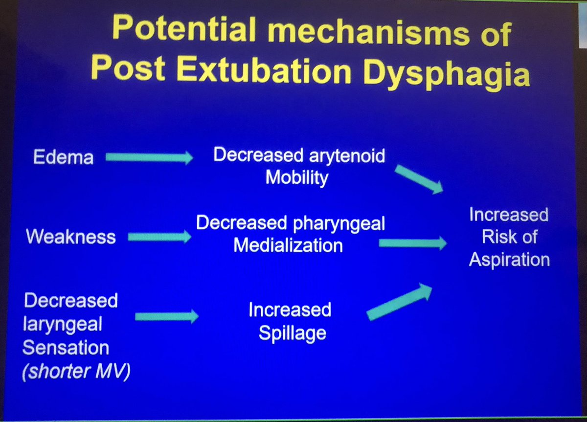 Post extubation #dysphagia (PED) possible impact on clinical outcomes: -delayed return to oral feeding -prolonged stay in #ICU -increased rate of tube feeding -re-intubation -increase resource use Pathophysiology & mechanisms from Dr Marc Moss ⬇️ #DRS2021