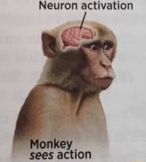 Coochinspector's tweet photo. @cahcd1 @insaneppltweets monkey see https://t.co/iROgeeil9g