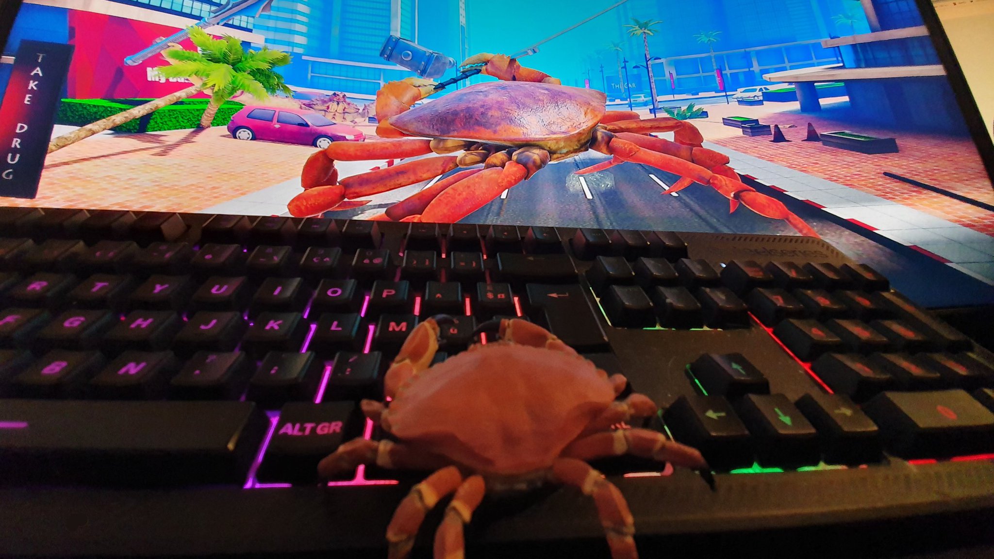 â€œweekly update on my crab: he is playing "Fight Crab"