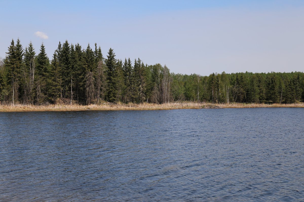 albertaforests's tweet photo. Did you know more than 80% of Alberta's water supply is found in the northern part of our province? #funfactfriday #forestfact #water https://t.co/iaA23Q0ZcI