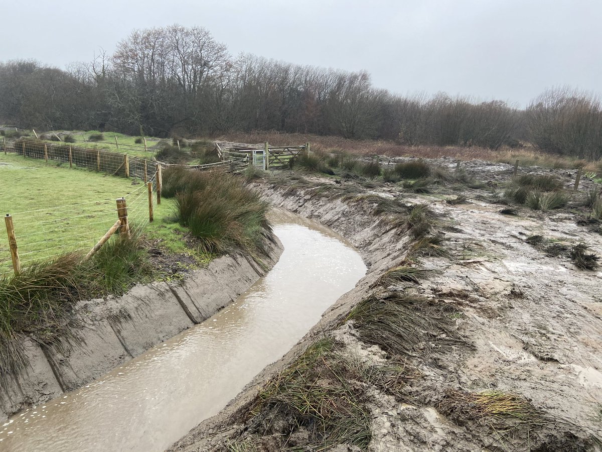 einion_williams's tweet photo. 1st pic - NRW half arsed effort of cleaning a ditch with a cage bucket, vs my efforts of cleaning all silt for water to run. How it should’ve done all the way down @NatResWales https://t.co/13oRJTJIUy