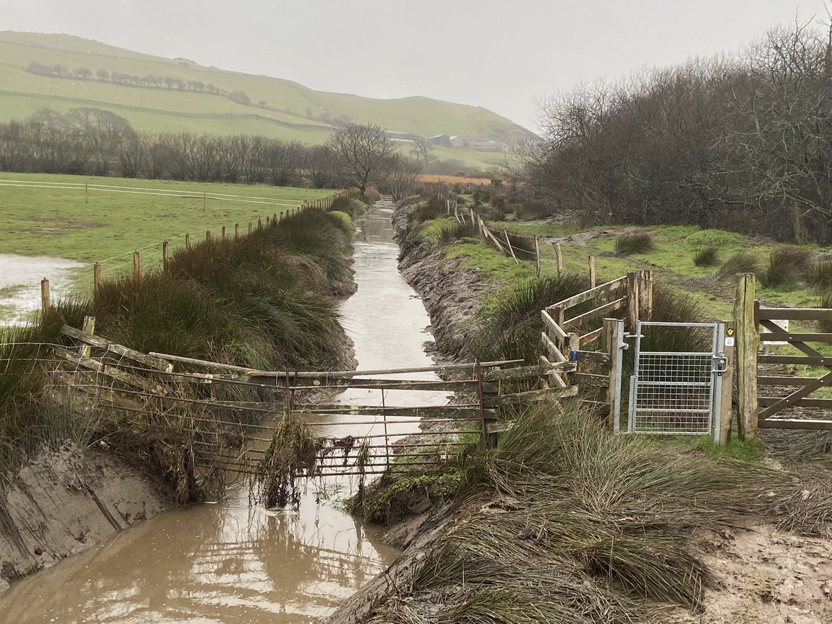 einion_williams's tweet photo. 1st pic - NRW half arsed effort of cleaning a ditch with a cage bucket, vs my efforts of cleaning all silt for water to run. How it should’ve done all the way down @NatResWales https://t.co/13oRJTJIUy