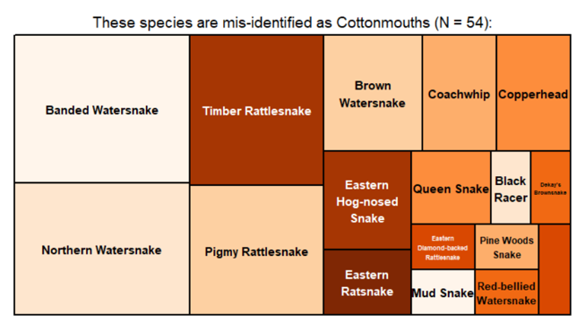 Andrew Durso (@am_durso) on Twitter photo In 1.5 hours I'll be giving a sneak preview of the <a href="/naturalsciences/">NC Museum of Natural Sciences</a> NC #SnakeID challenge data so far. Register here: naturalsciences.org/calendar/herpd… and take part here: forms.gle/avFsUGKxrPn9xP… @CitSciZurich <a href="/CitizenCyberlab/">Citizen Cyberlab</a> <a href="/HerpMapper/">HerpMapper</a> In 1.5 hours I'll be giving a sneak preview of the <a href="/naturalsciences/">NC Museum of Natural Sciences</a> NC #SnakeID challenge data so far. Register here: naturalsciences.org/calendar/herpd… and take part here: forms.gle/avFsUGKxrPn9xP… @CitSciZurich <a href="/CitizenCyberlab/">Citizen Cyberlab</a> <a href="/HerpMapper/">HerpMapper</a>