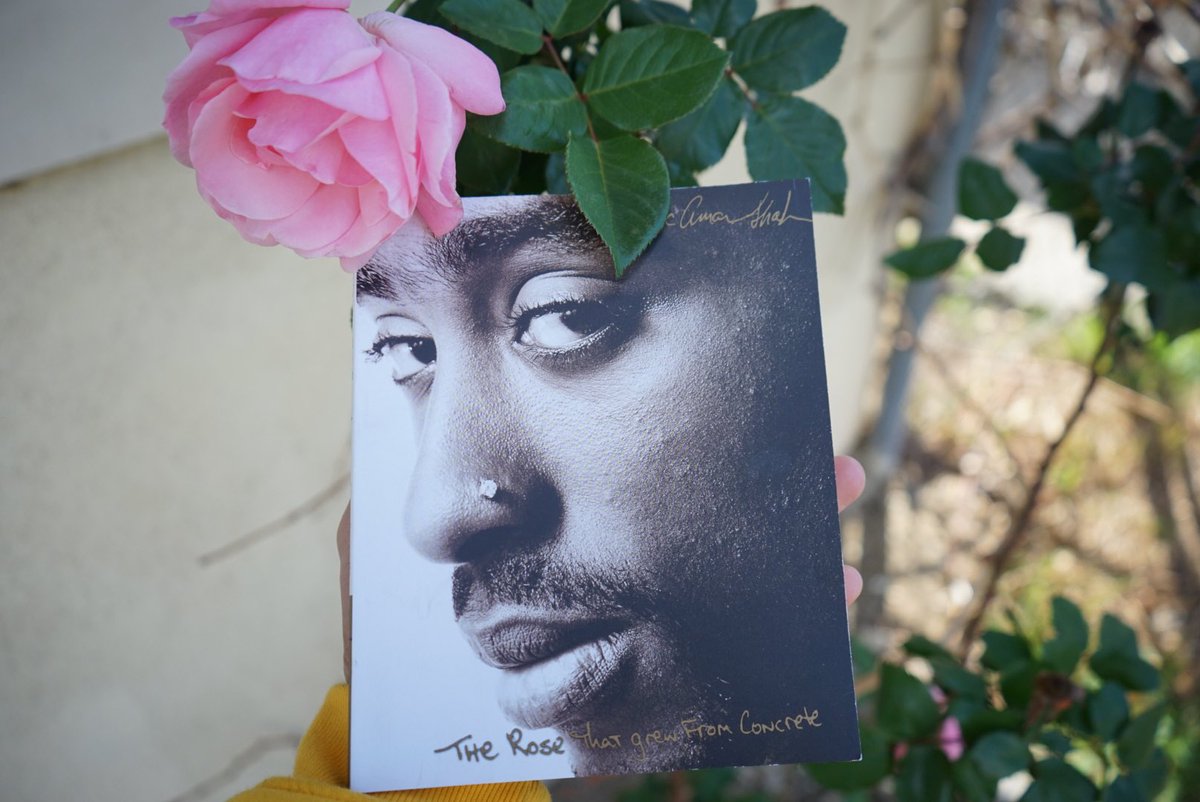 _takeovr_'s tweet photo. Thank you @SELA_HipHop for the gift 

@sancheezyy_ @darmedius https://t.co/d34hHKhRm8