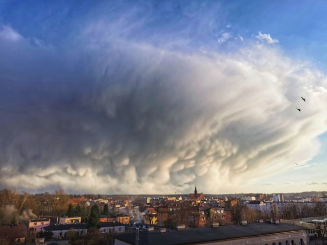 meteo_expert's tweet photo. Beautiful mammatus clouds over Kościerzyna (Pomorskie)
Fot: Magdalena Karczewska https://t.co/XgM3iQp6lE